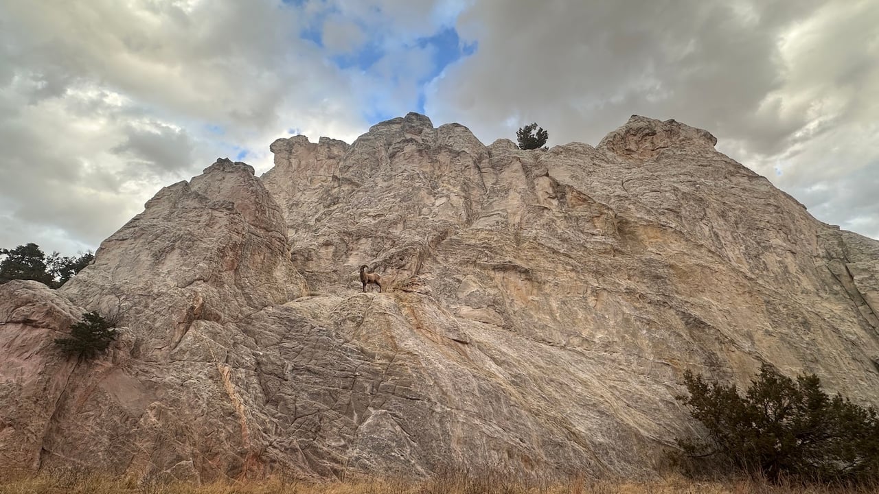 Garden of the Gods: Where Colorado Springs Comes Alive