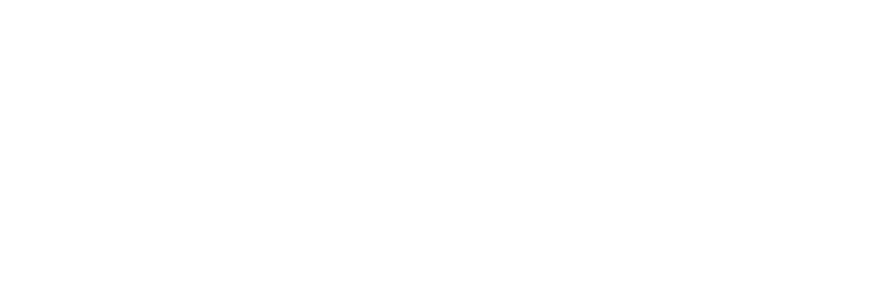 Light Logo