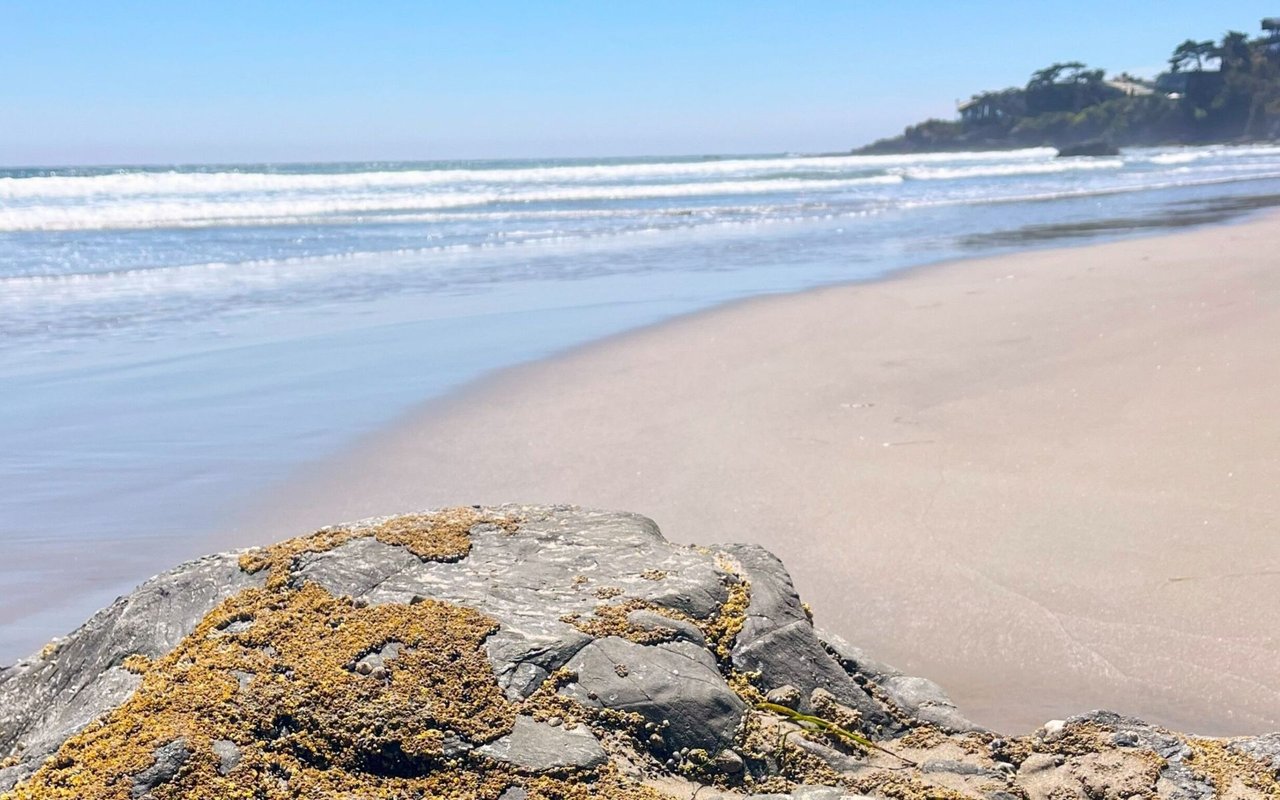 Exploring Malibu’s Coastal Luxury: The Rise of Earthy Minimalism