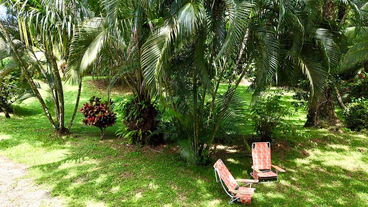Riverside Cabin in Uvita | 0.98-Acre Estate with Room to Expand