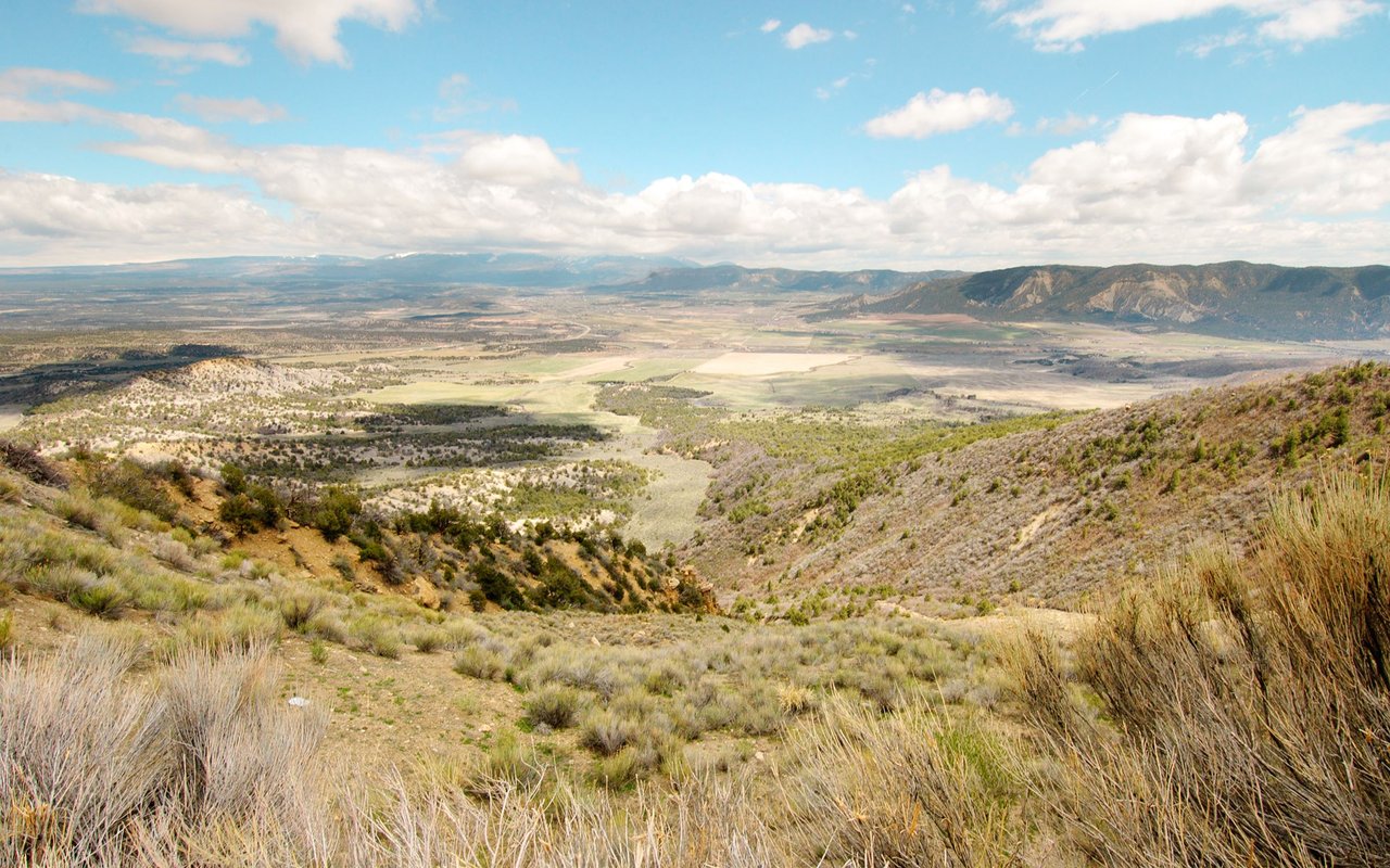Montezuma County