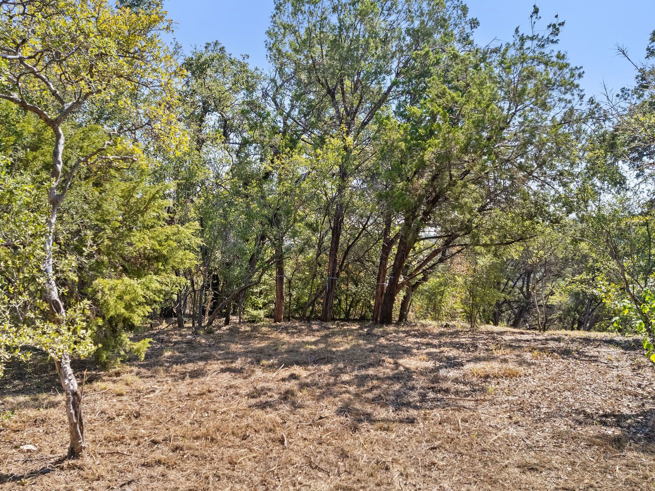 1906 Yaupon Valley Road