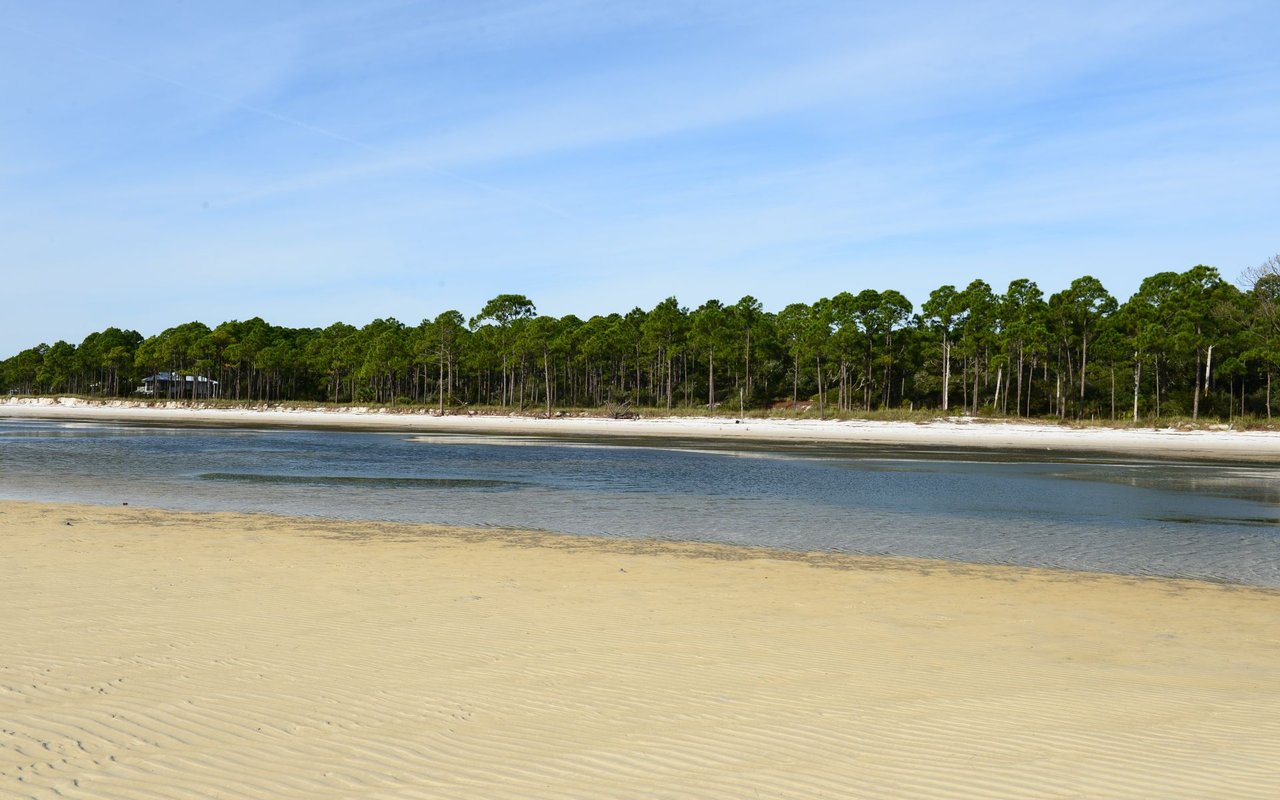 Forgotten Coast (Alligator Point, Carrabelle, Panacea)