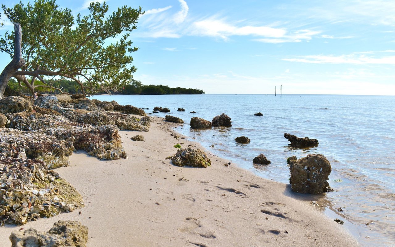 Punta Gorda