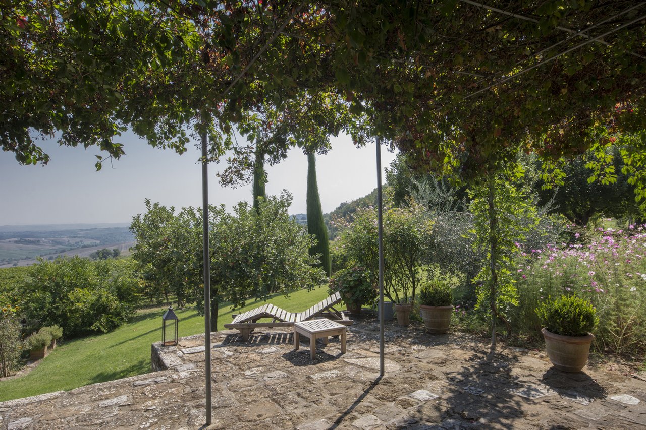 Exclusive Organic Winery for Sale in Siena