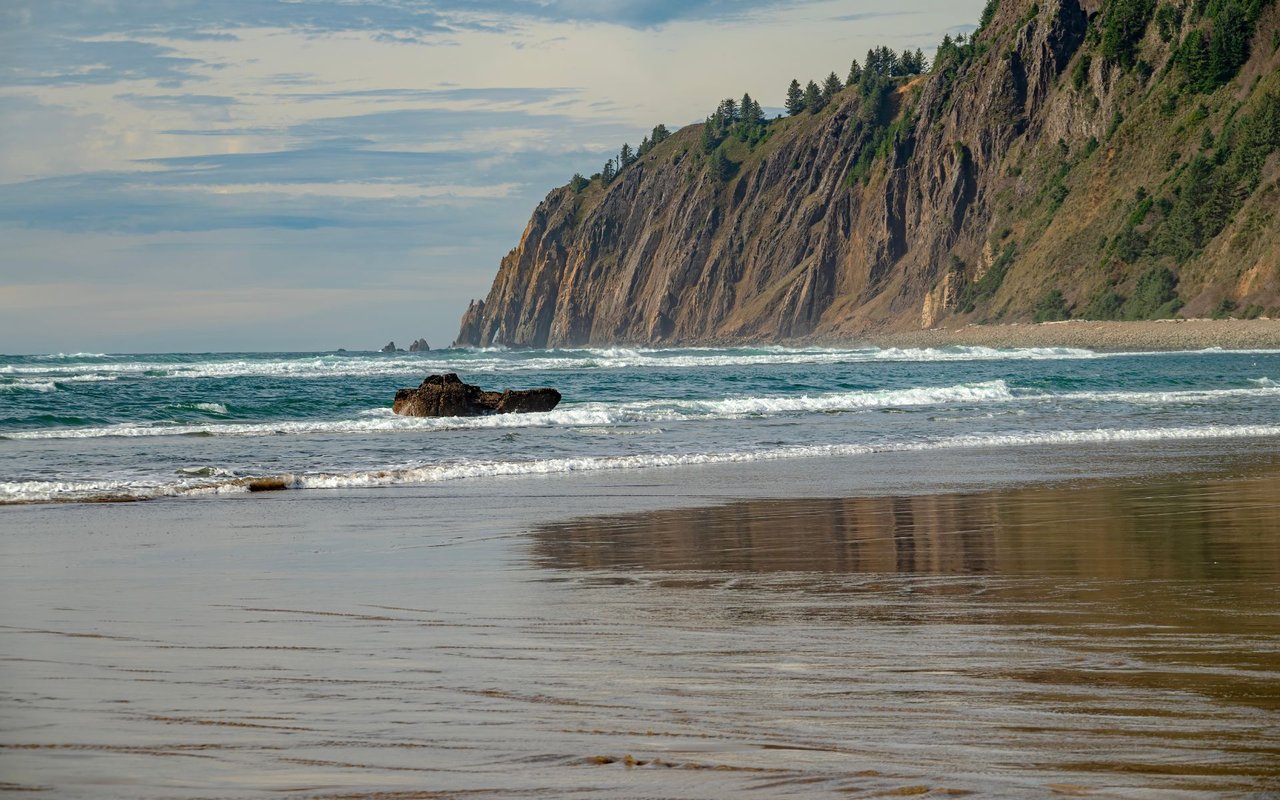 Manzanita