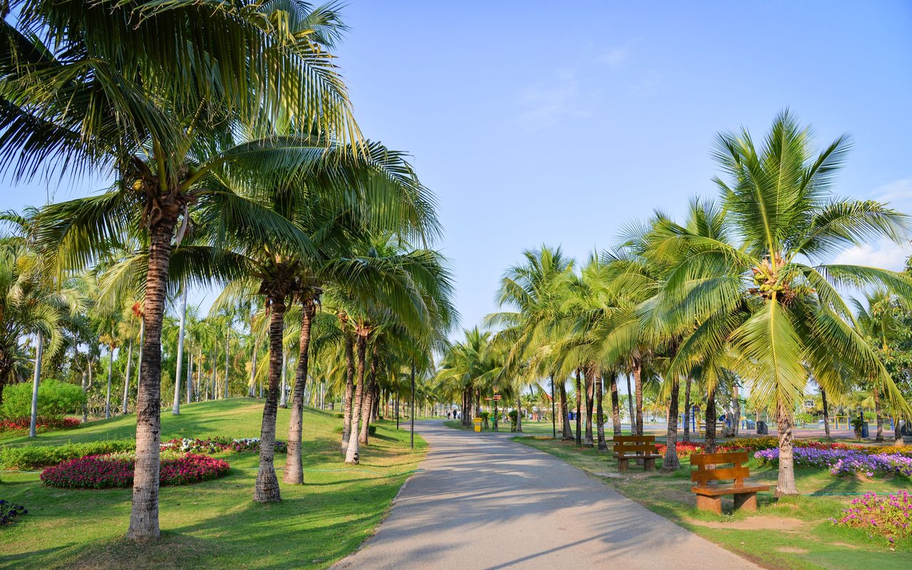 San Carlos Park