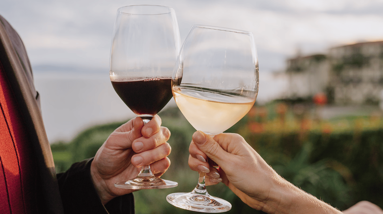 From Vine to Ocean:  GAJA Winery