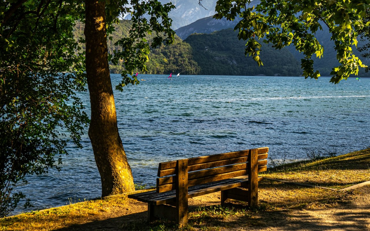 Wooden bench overlooking a lake and wooded mountains, framed by leafy trees.