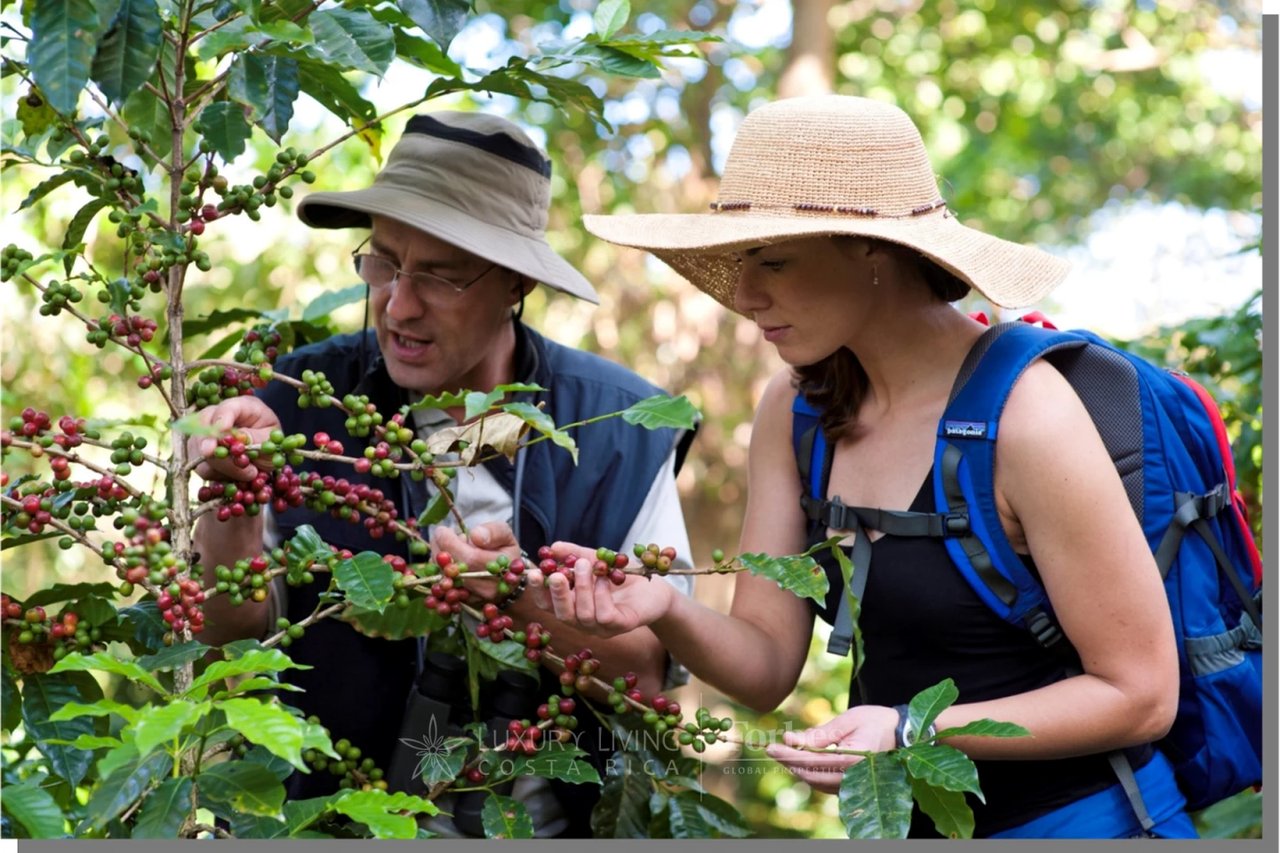 20646 - Boutique Hotel for Sale in the Mountains of Heredia