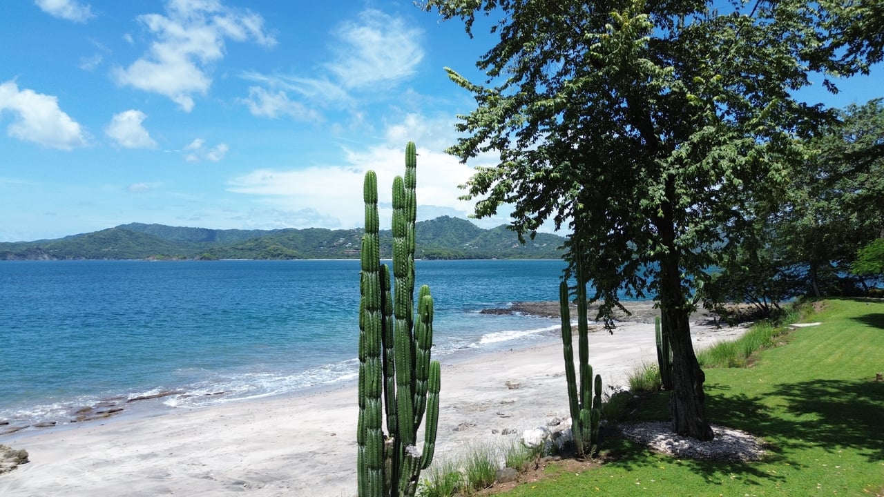 Flamingo Marina Cove 405 - Turnkey Beachfront Condo