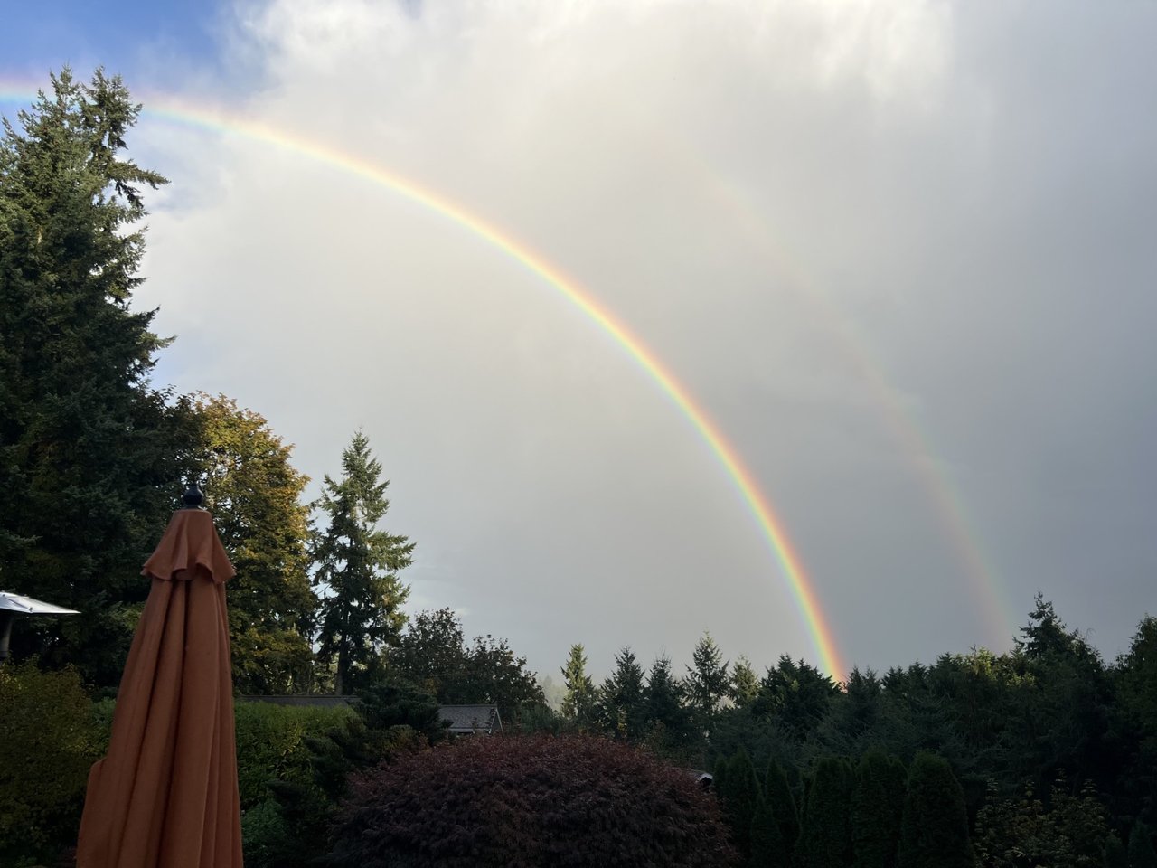 Newsletter - October 2025