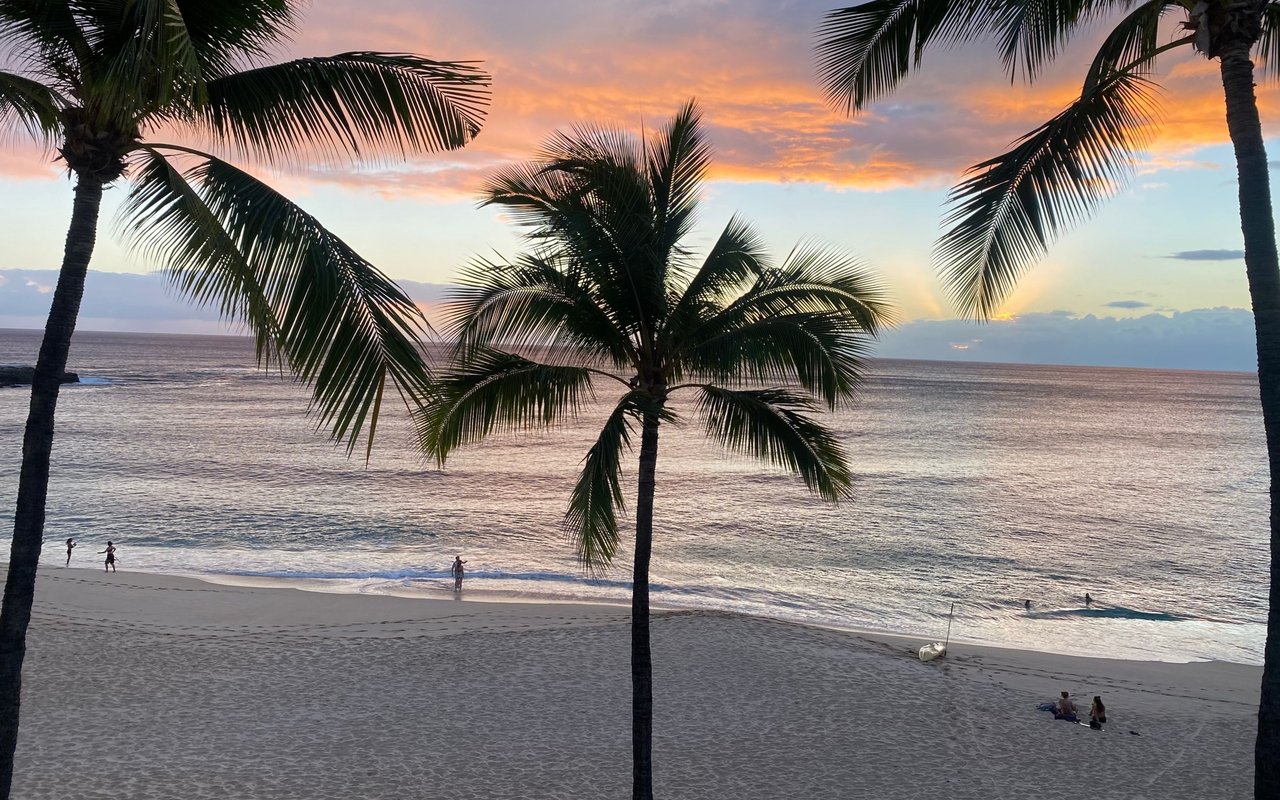 Palm trees frame a quiet beach and calm ocean beneath a pink-orange sunset.