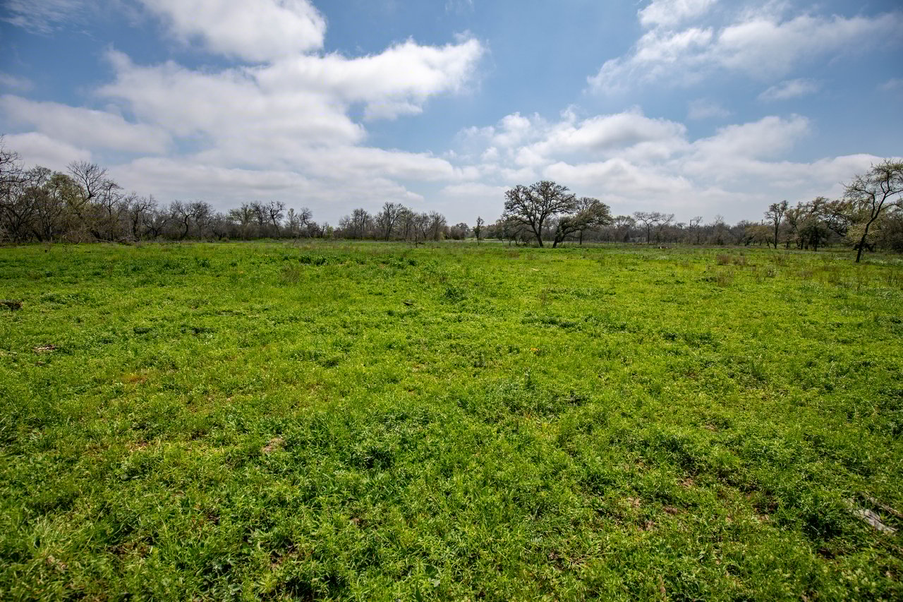 Dry Hollow Creek Ranch | 21.96± Acres | Bexar County