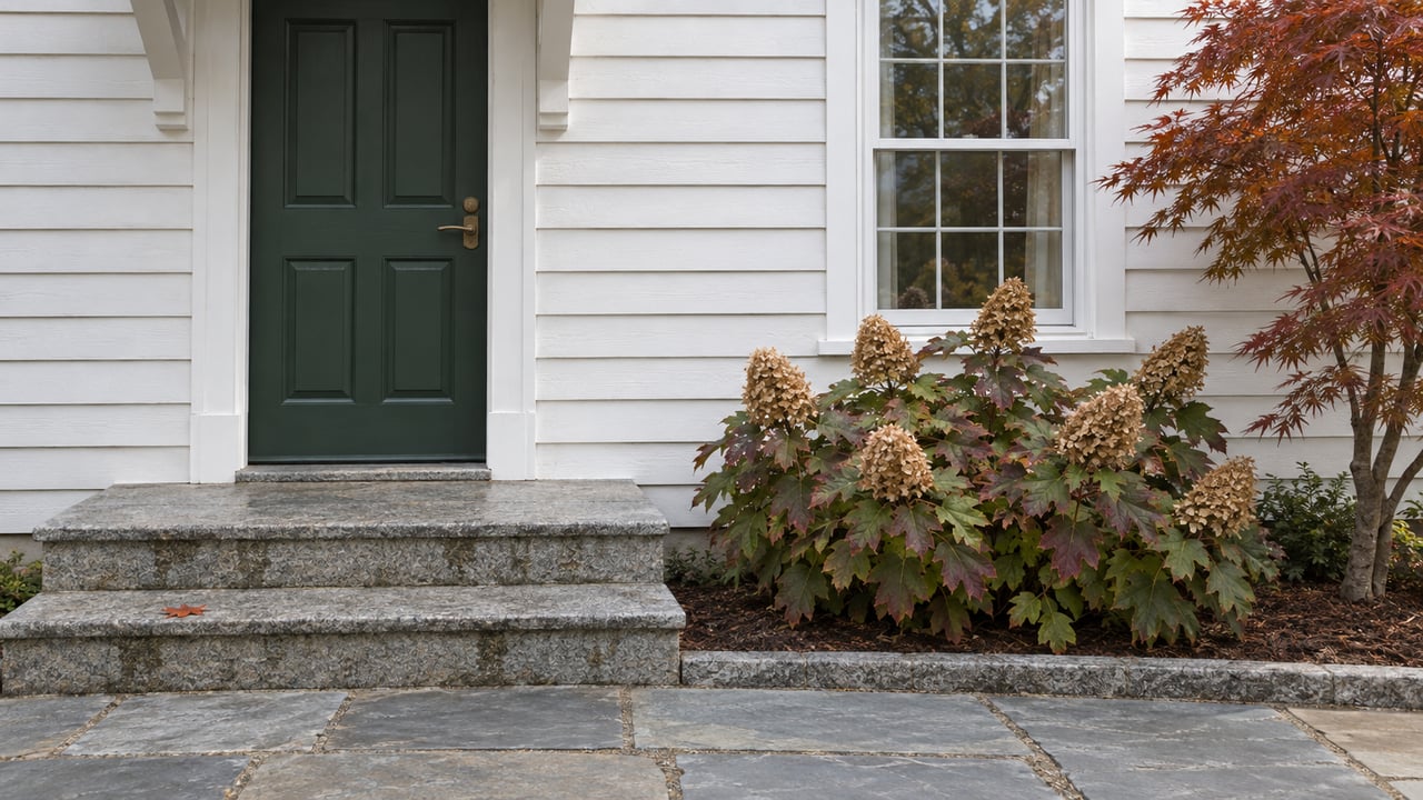 White clapboard house with a deep-green entry door, granite steps, a sash window and autumn hydrangea beside a flagstone walk.