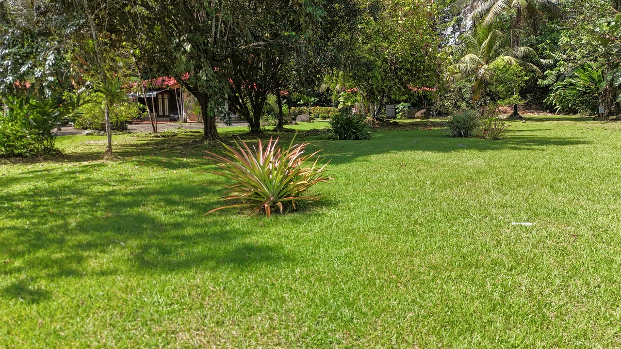 A riverfront 3-bed home on a large property In Ojochal, Costa Rica