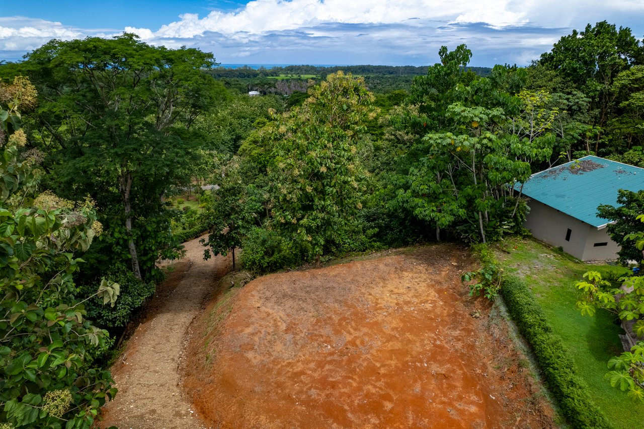 ¡New Gated Development in Matapalo - Ocean View and Flat Land, ready to build!
