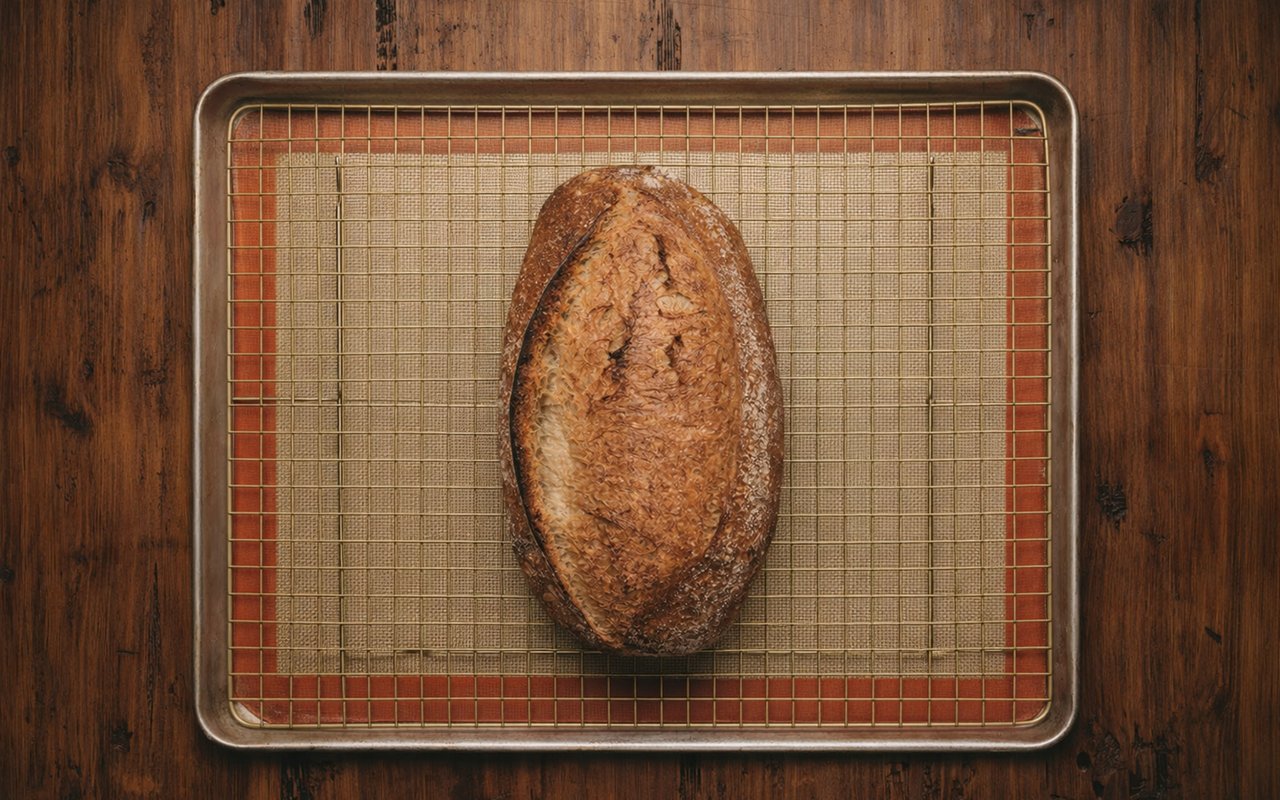 Rise to the Occasion