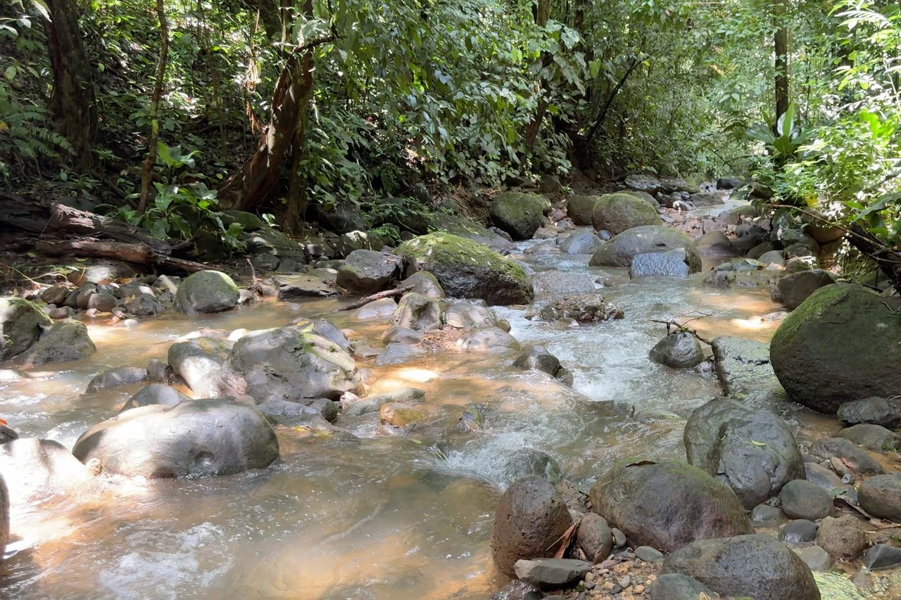 Valley of the Horses , Multi-Home Mountain Retreat -Dominical