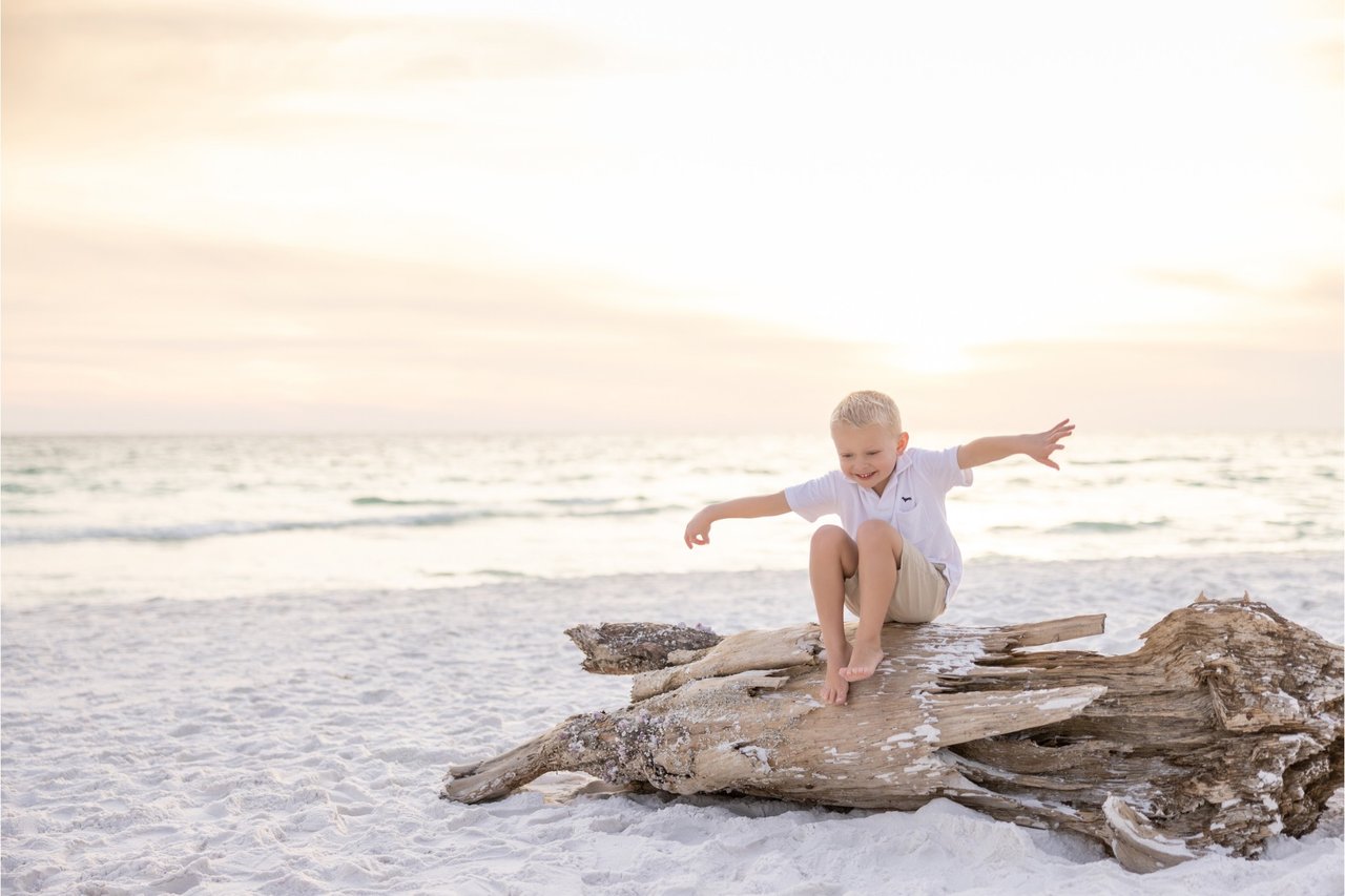 Driftwood washes ashore on 30A’s popular West end.