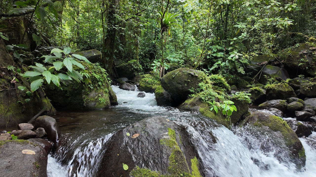 10.5 Hectares Rio Celeste - Nature Lover's Dream - Bijagua 