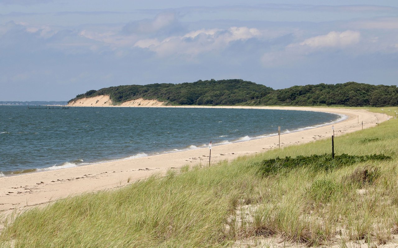 Sag Harbor