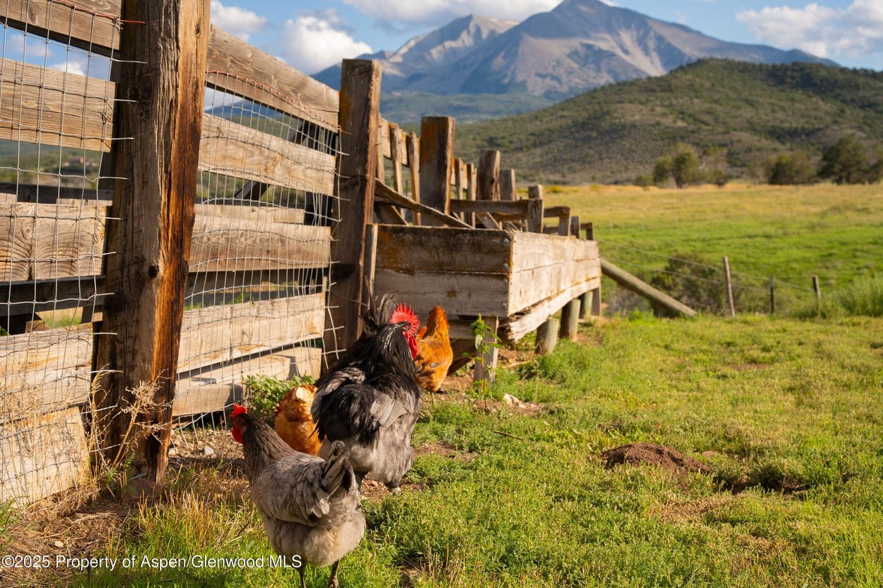 1644 Prince Creek Road