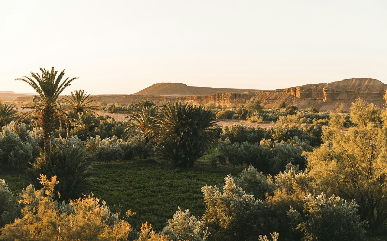 Camp Verde