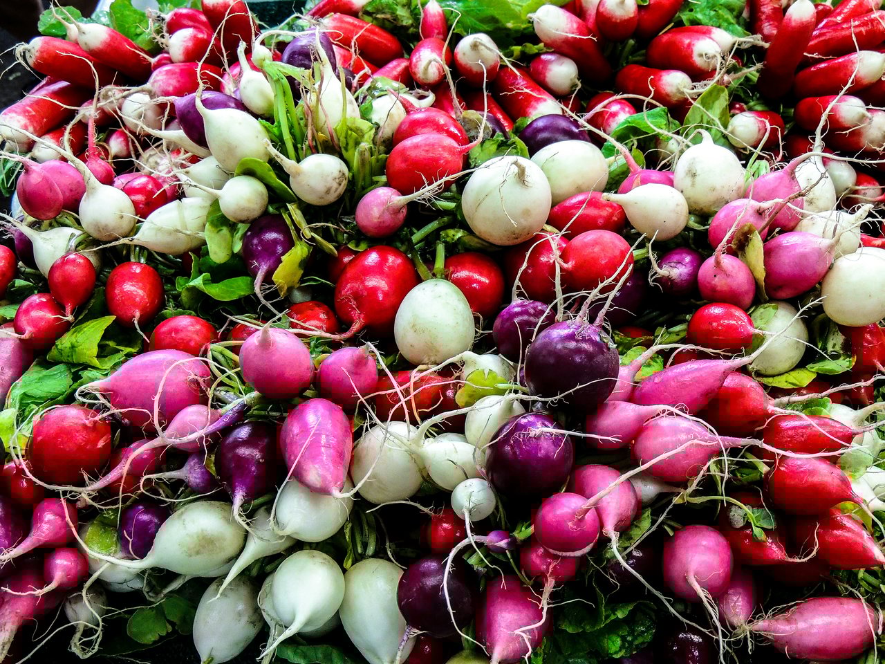 San Francisco Farmers Markets: A Complete List