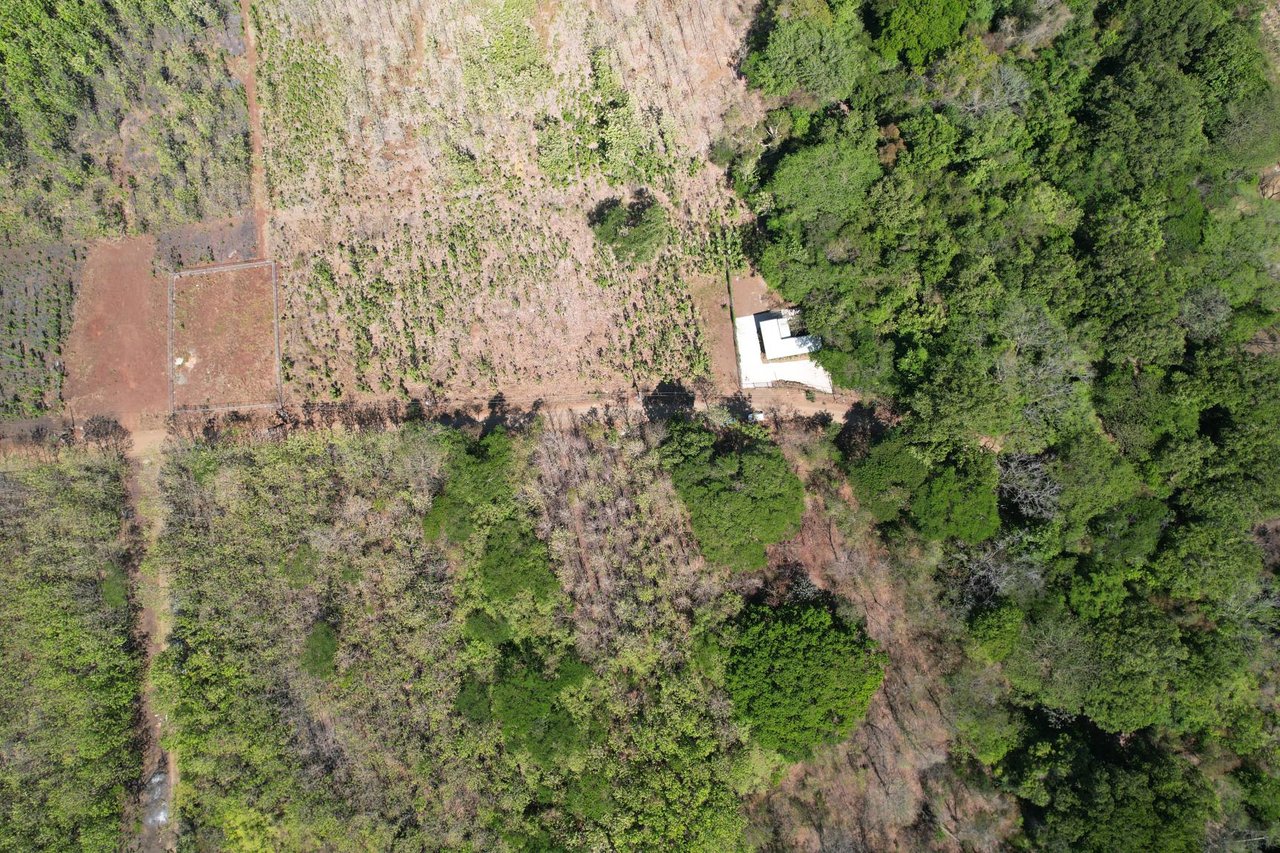 Flat Mixed-Use Land for Sale | Lot #8: Development Opportunity Near Avellanas