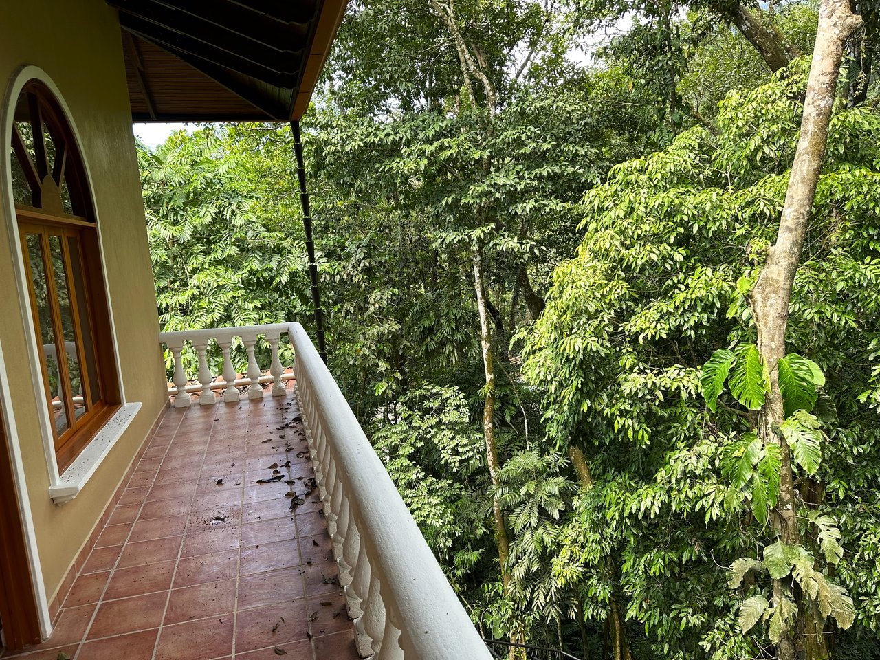 FIRE SALE! Jungle, Rivers, a Waterfall and Panoramic Ocean View