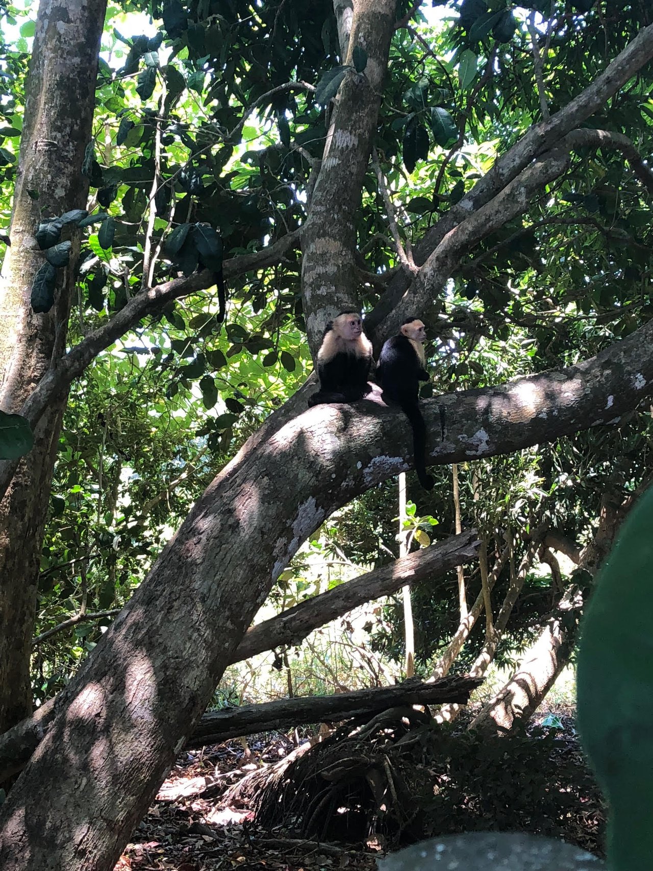 Local Lifestyle in Jaco Costa Rica 