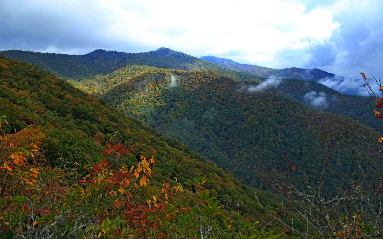 Sylva