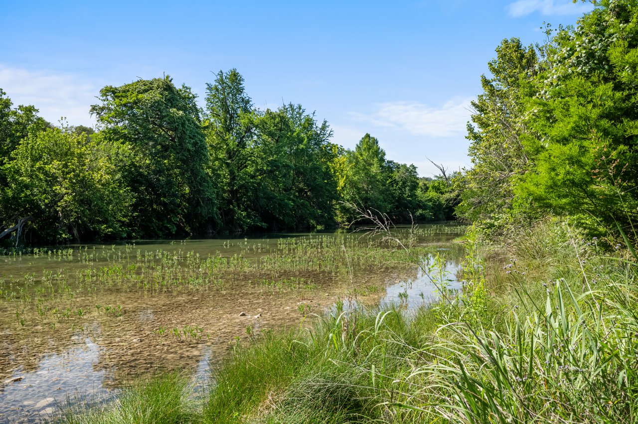 Shallow river bordered by dense green trees and tall grasses, with a rocky riverbed visible through the water.