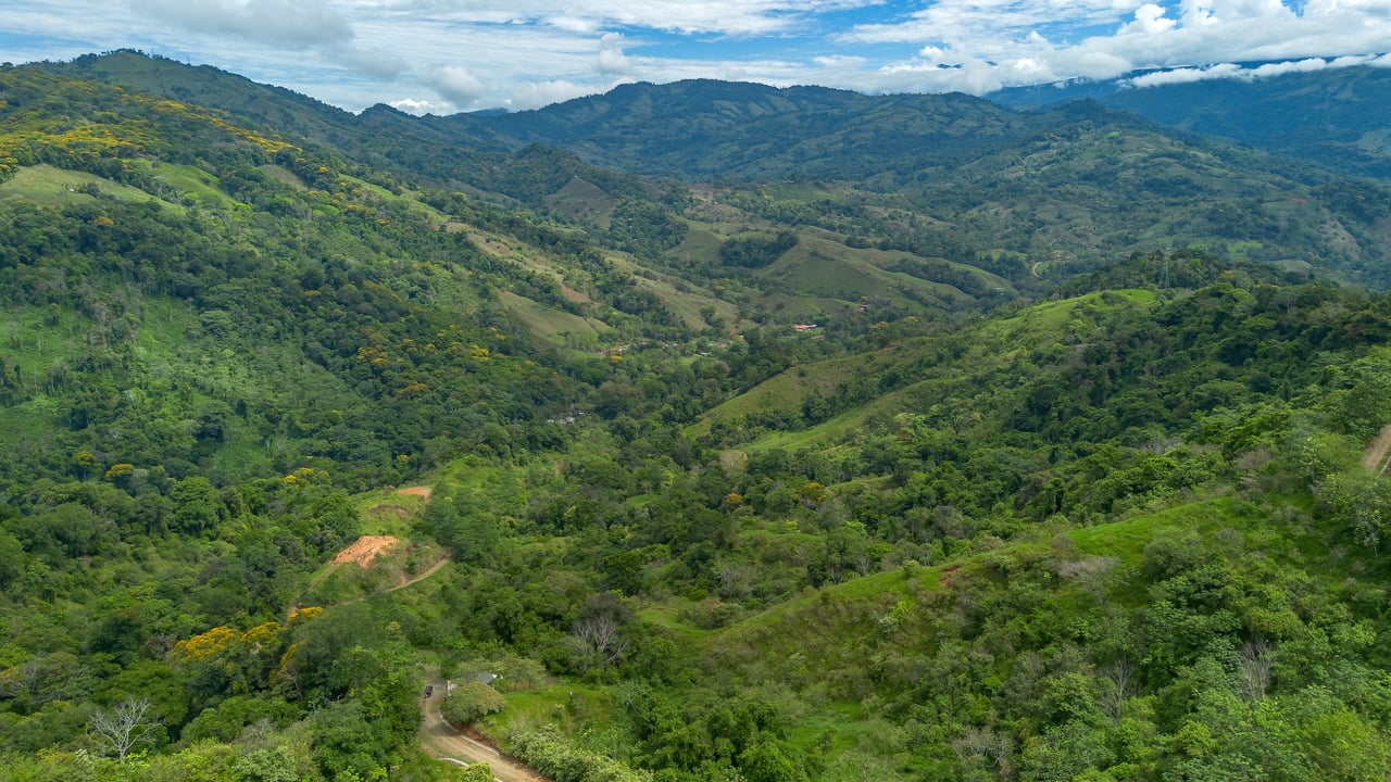 60 Hectares in Platanillo 