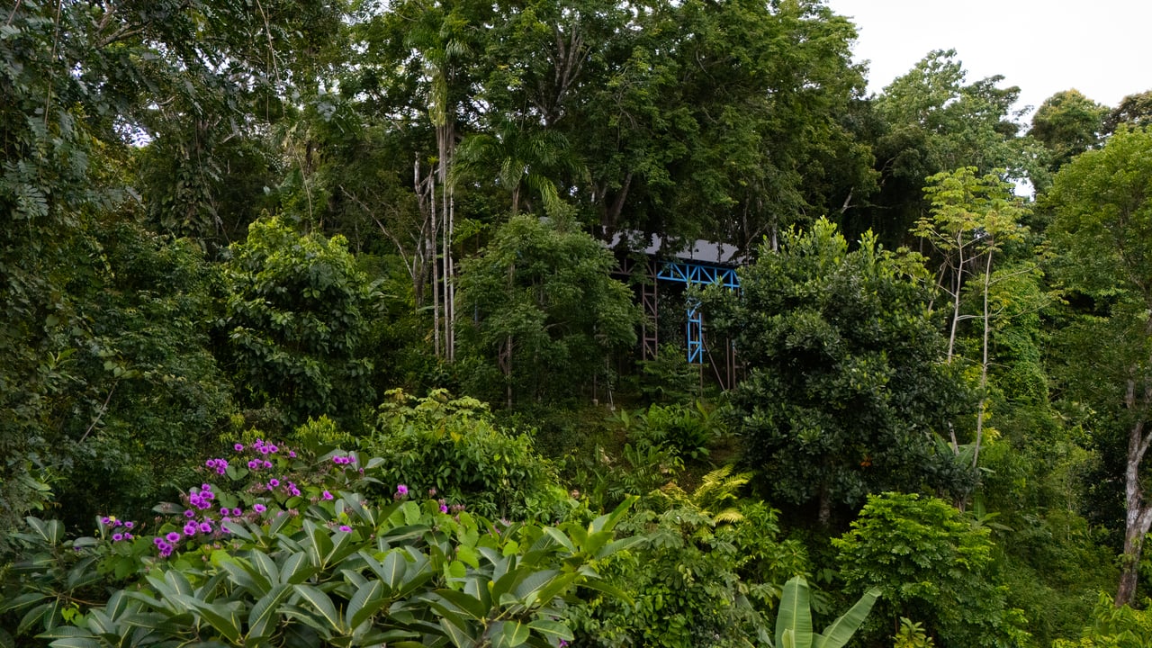 Where the Journey Begins | Private Jungle Estate at Nauyaca Waterfalls