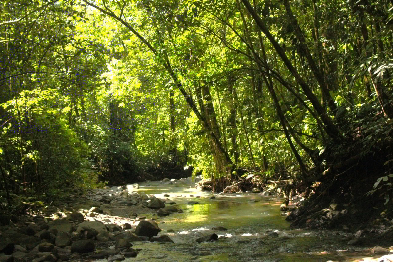 River Frontage Lot close to Uvita