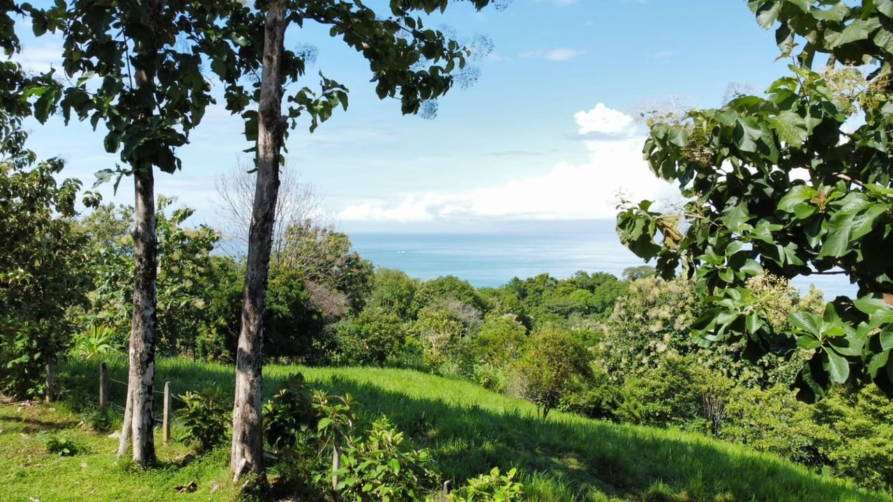Amazing Property with Unique Ocean Views