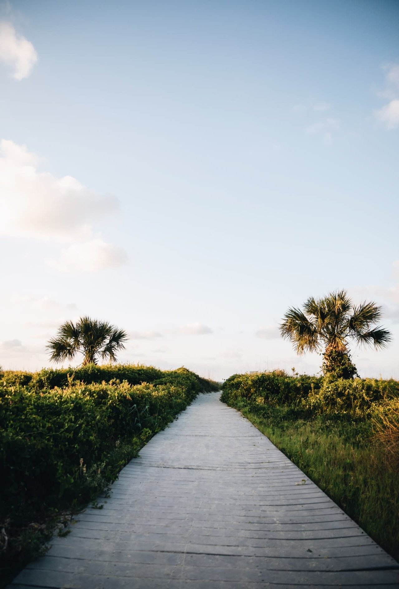 Oak Island