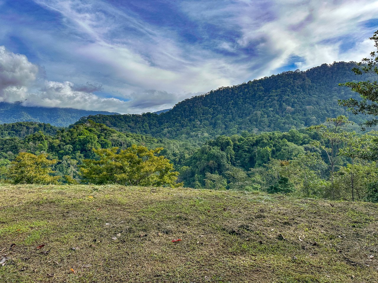 A Huge Rainforest, River & Waterfall Property With TWO Mountain & Jungle-View Luxury Homes on a Massive 4.93 Acre Lot – PLUS an Additional Plantel ready for Development