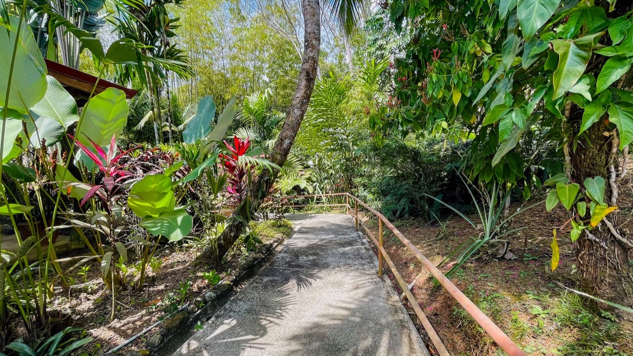 Valley of Dreams - A Beautiful Multi-Use Property Near Cacao Ridge, 10.85 Acres at a Phenomenal Price!