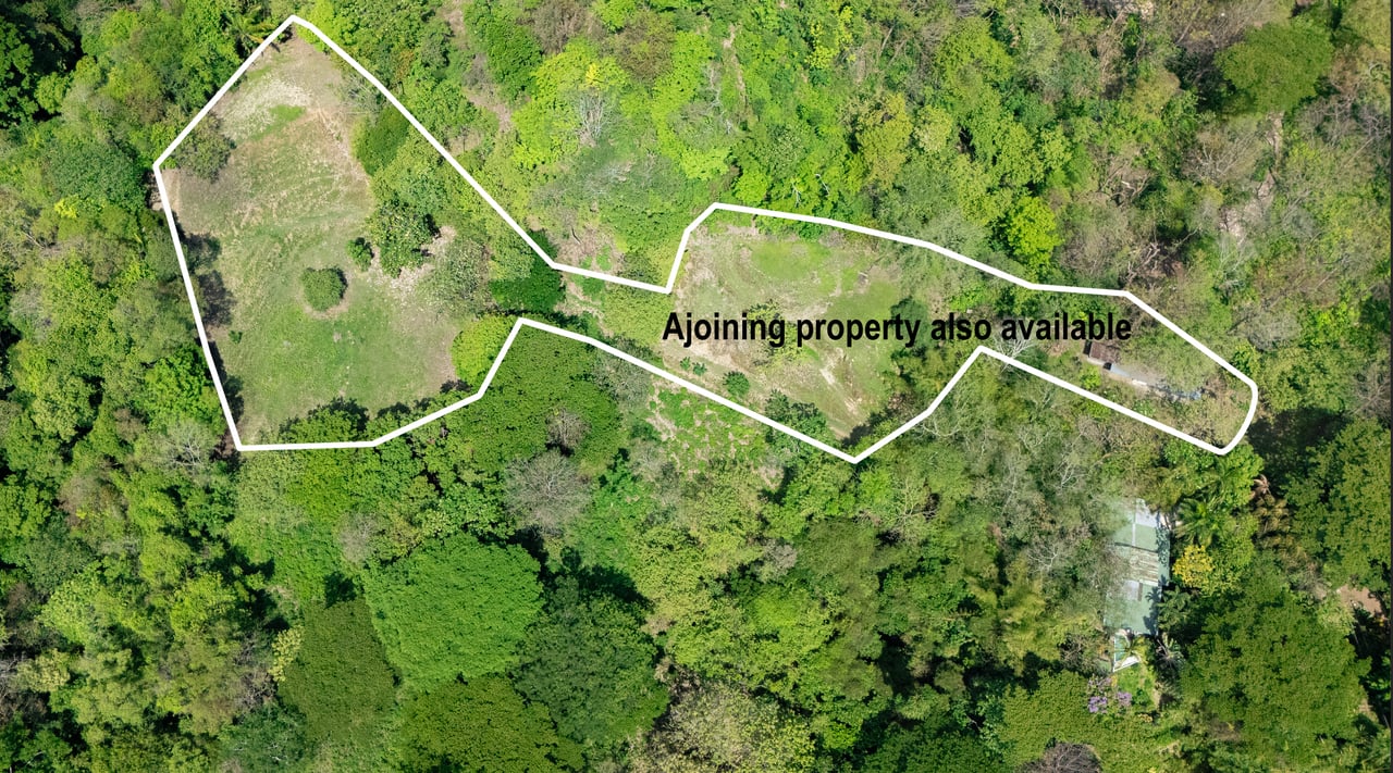 Prime Jungle Retreat with Sunset Views – Build Your Dream