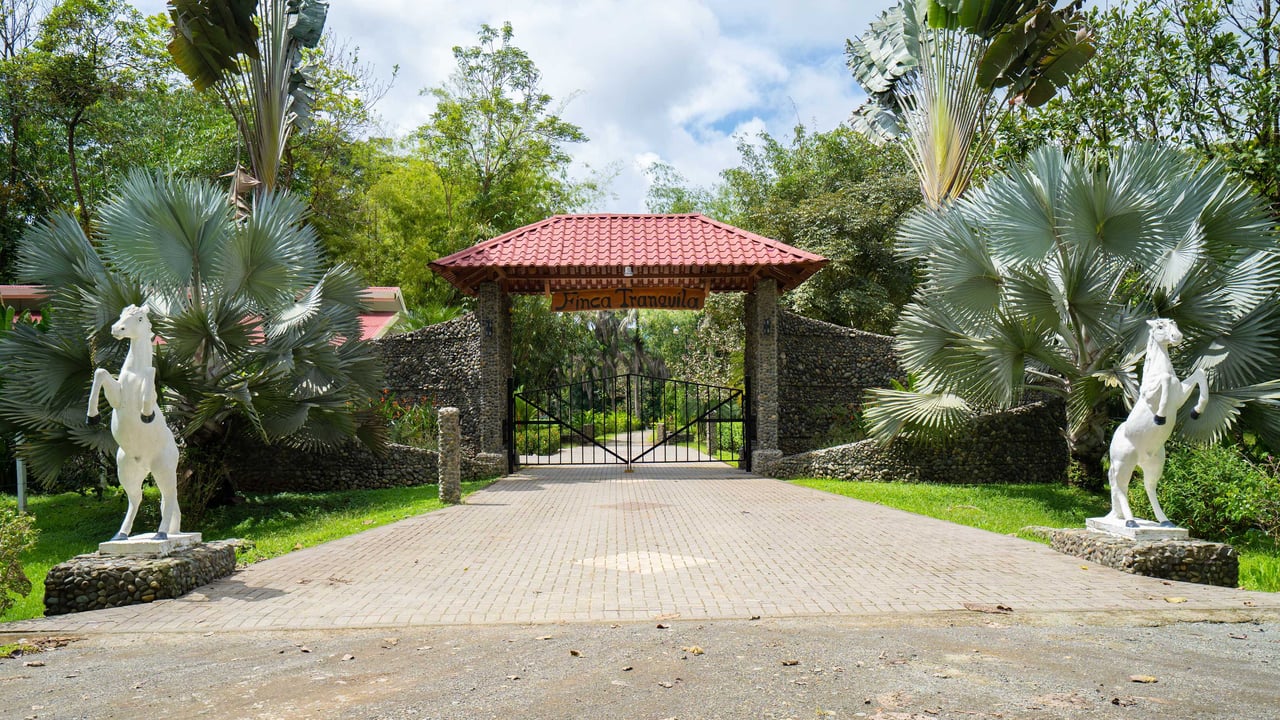 Stunning Tropical Home in Gated community with Hundreds of fruit trees  