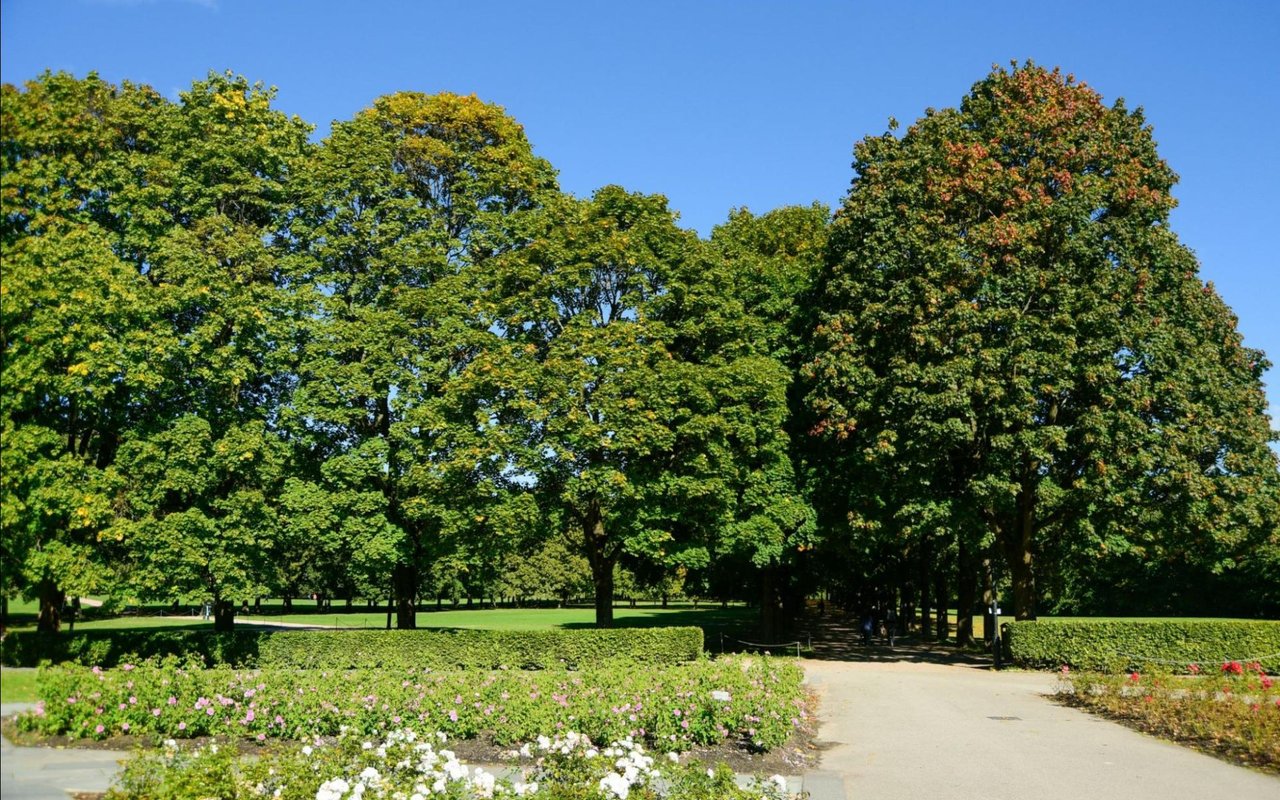 Neighborhood Amenities That Increase Home Value
