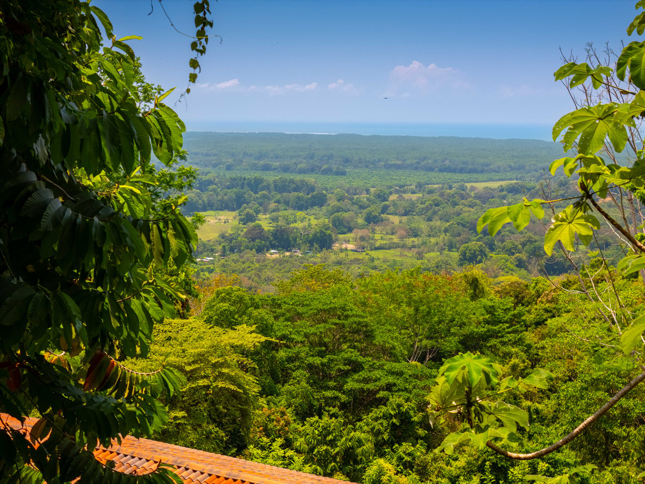 Ocean View, Privacy Galore! 9.18-Acre Retreat in Tres Rios/San Buenas, with 2 Extra building Plantels 