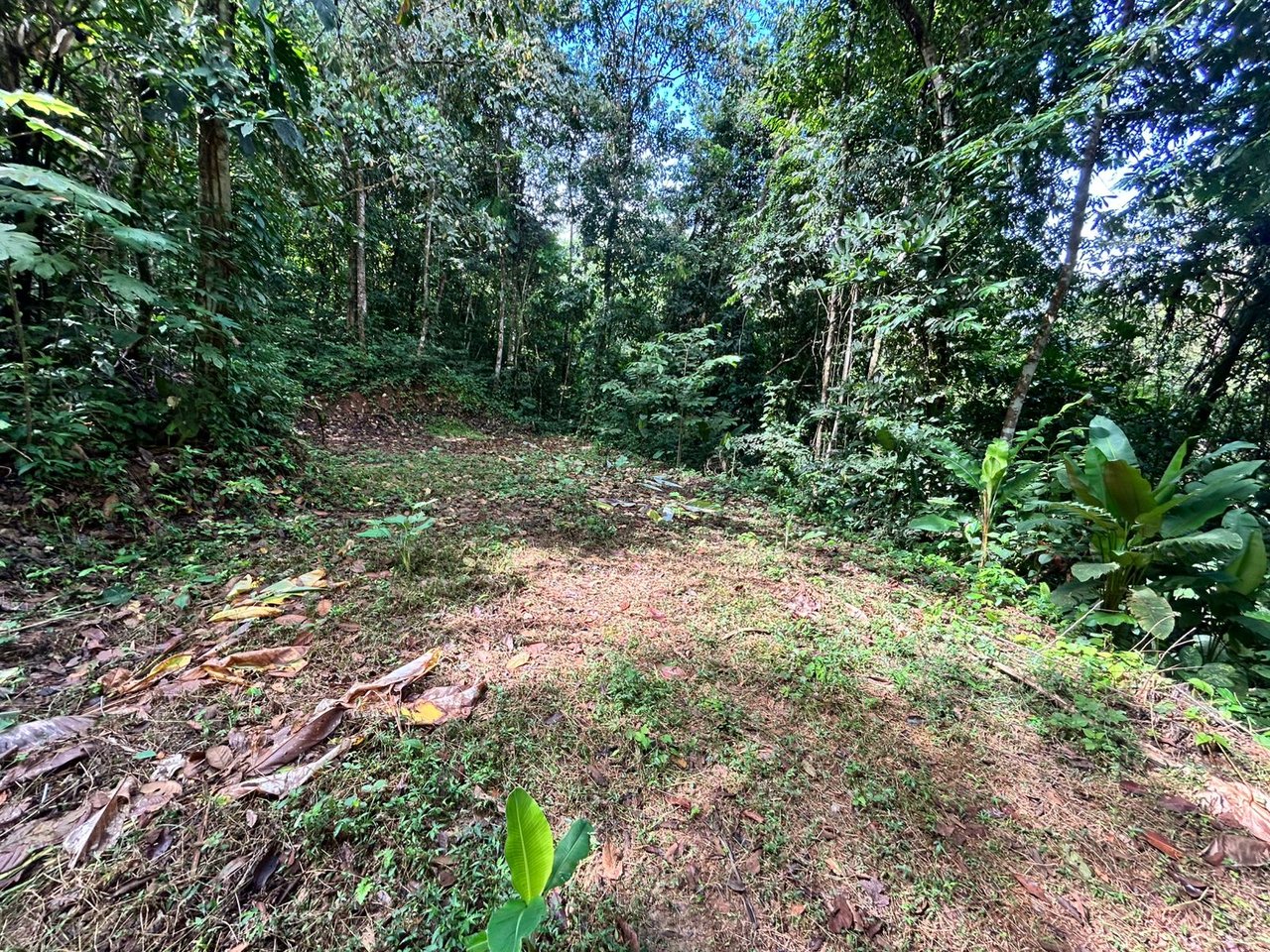 1.4-acre gated lot in Uvita.