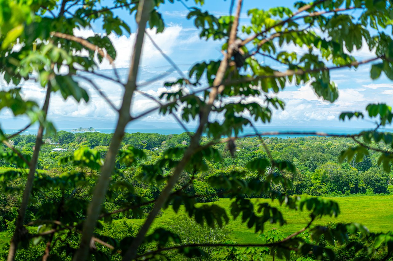 Casa Única - Ocean View Oasis with Commercial Potential in the Heart of Uvita
