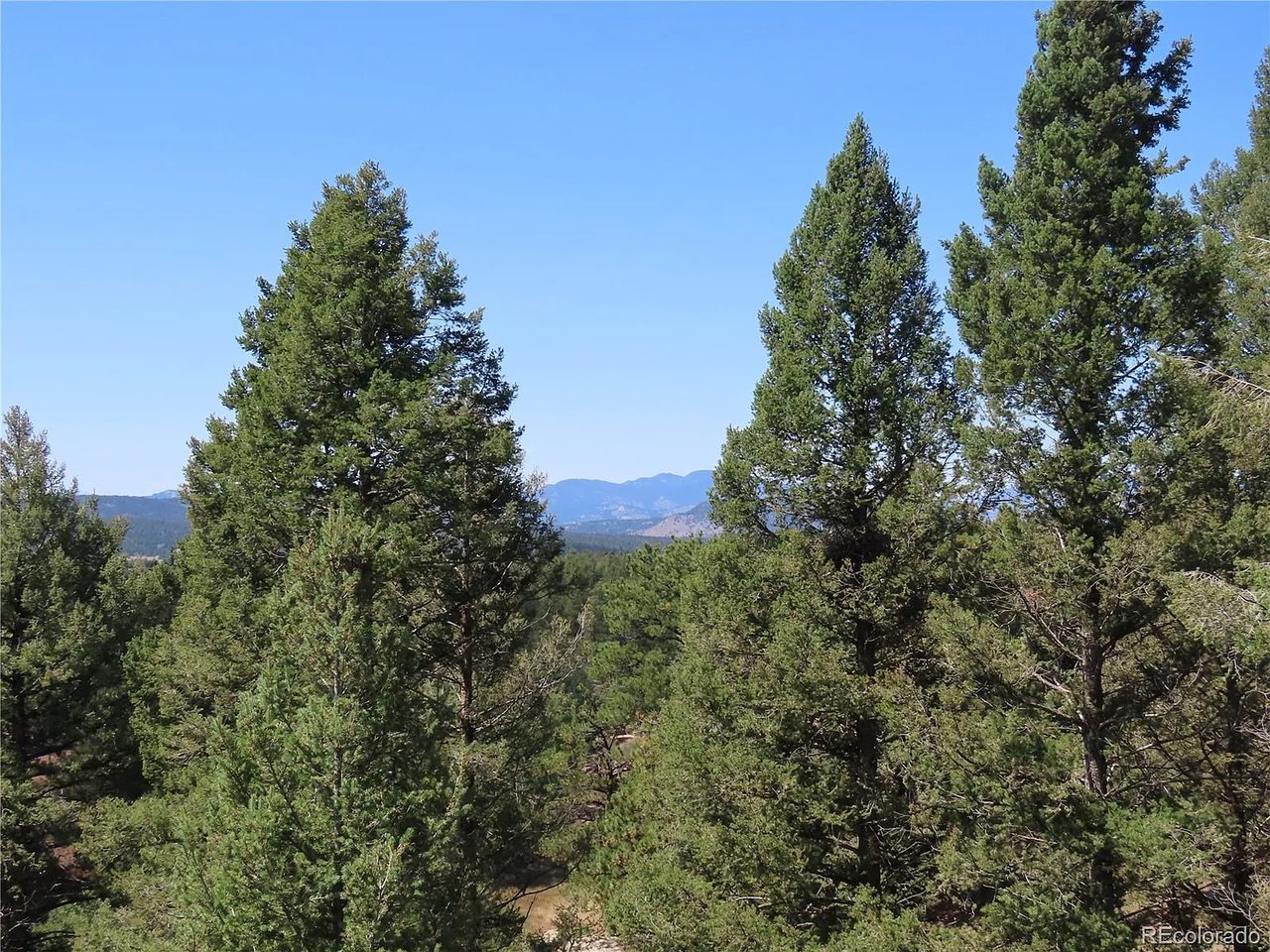 1051 Spring Valley Ln