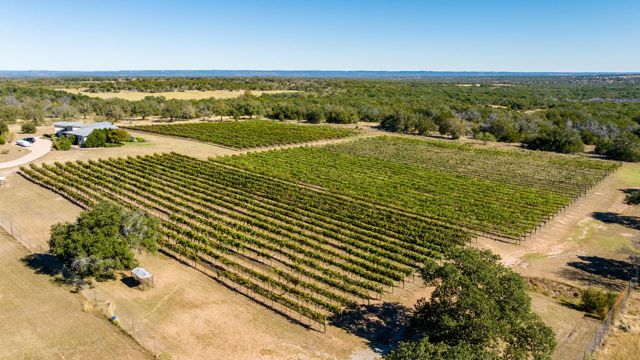 Round Mountain Vineyard