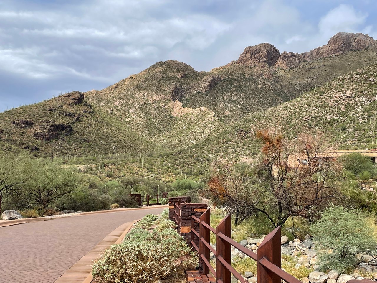 Tucson: The Smart Choice for Luxury Buyers